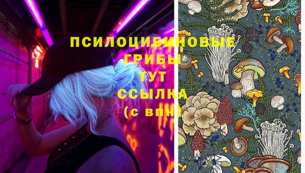 ECSTASY Каменногорск