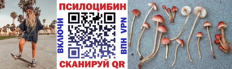 Купить Дзержинский Галлюциногенные грибы Psilocybine cubensis